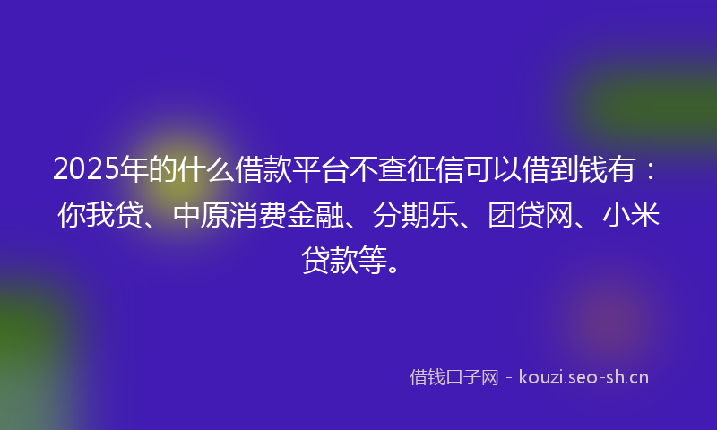 2025年的什么借款平台不查征信可以借到钱有：你我贷、中原消费金融、分期乐、团贷网、小米贷款等。