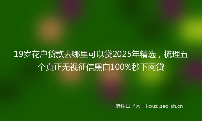 19岁花户贷款去哪里可以贷2025年精选，梳理五个真正无视征信黑白100%秒下网贷