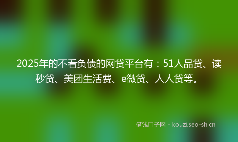 2025年的不看负债的网贷平台有：51人品贷、读秒贷、美团生活费、e微贷、人人贷等。