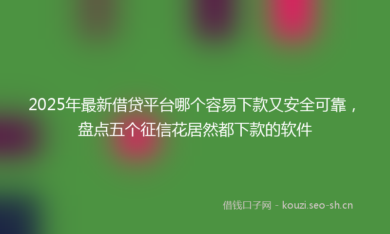 2025年最新借贷平台哪个容易下款又安全可靠，盘点五个征信花居然都下款的软件