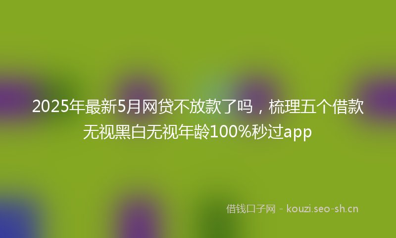 2025年最新5月网贷不放款了吗，梳理五个借款无视黑白无视年龄100%秒过app