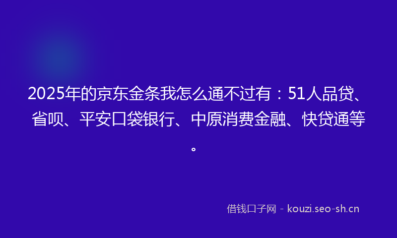 2025年的京东金条我怎么通不过有：51人品贷、省呗、平安口袋银行、中原消费金融、快贷通等。