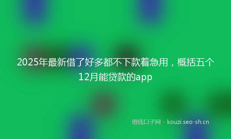 2025年最新借了好多都不下款着急用，概括五个12月能贷款的app