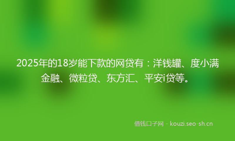 2025年的18岁能下款的网贷有：洋钱罐、度小满金融、微粒贷、东方汇、平安i贷等。