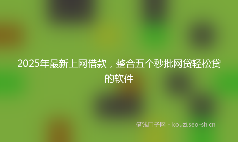 2025年最新上网借款，整合五个秒批网贷轻松贷的软件