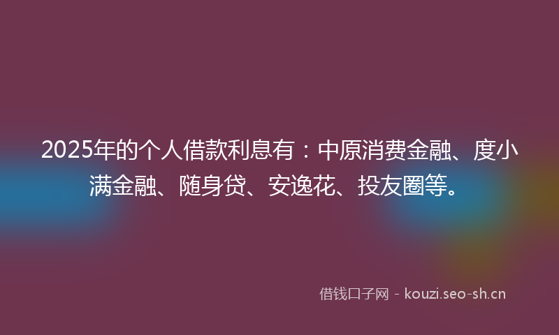 2025年的个人借款利息有：中原消费金融、度小满金融、随身贷、安逸花、投友圈等。