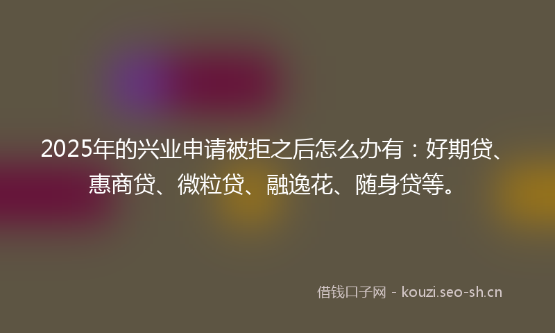 2025年的兴业申请被拒之后怎么办有：好期贷、惠商贷、微粒贷、融逸花、随身贷等。