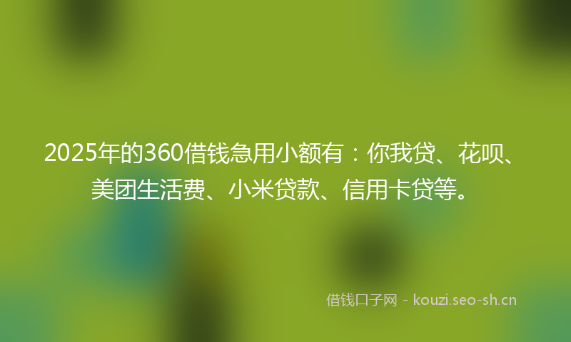2025年的360借钱急用小额有：你我贷、花呗、美团生活费、小米贷款、信用卡贷等。
