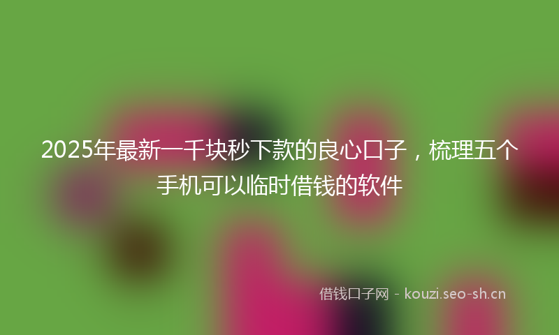 2025年最新一千块秒下款的良心口子，梳理五个手机可以临时借钱的软件