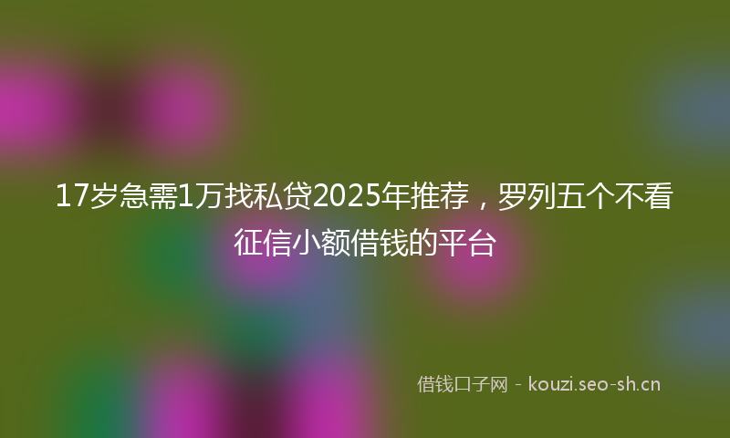 17岁急需1万找私贷2025年推荐，罗列五个不看征信小额借钱的平台