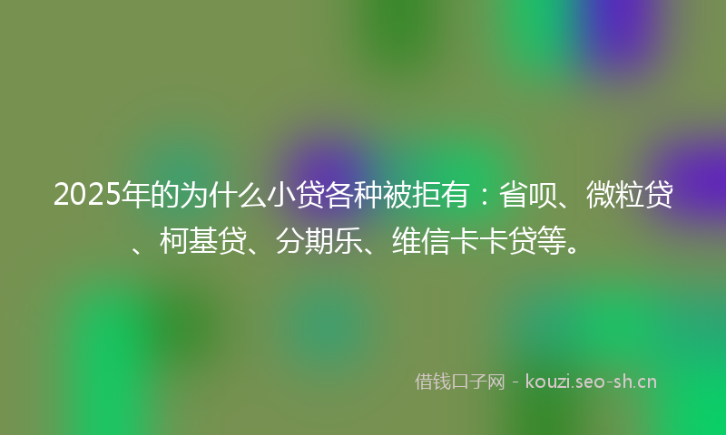 2025年的为什么小贷各种被拒有:省呗、微粒贷、柯基贷、分期乐、维信卡卡贷等。