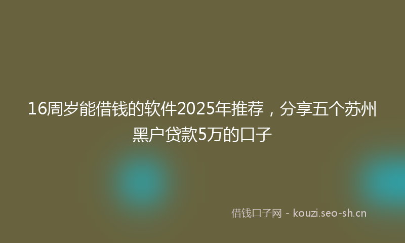 16周岁能借钱的软件2025年推荐，分享五个苏州黑户贷款5万的口子