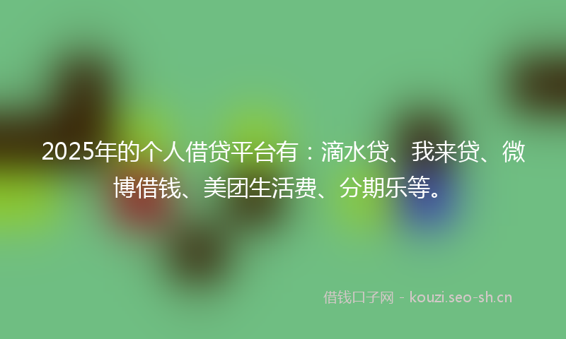 2025年的个人借贷平台有：滴水贷、我来贷、微博借钱、美团生活费、分期乐等。