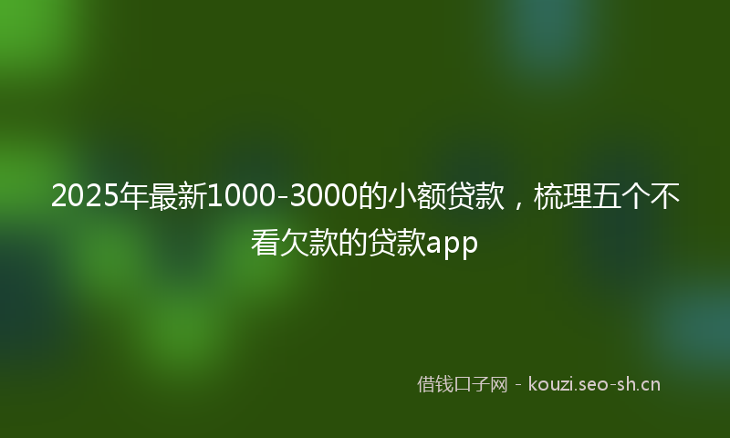 2025年最新1000-3000的小额贷款，梳理五个不看欠款的贷款app