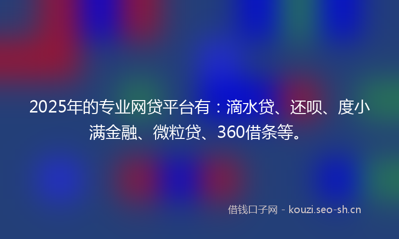 2025年的专业网贷平台有：滴水贷、还呗、度小满金融、微粒贷、360借条等。