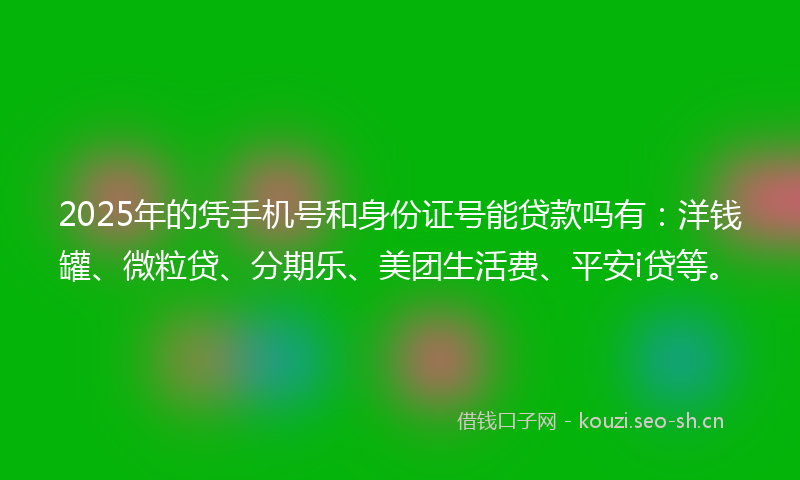 2025年的凭手机号和身份证号能贷款吗有：洋钱罐、微粒贷、分期乐、美团生活费、平安i贷等。