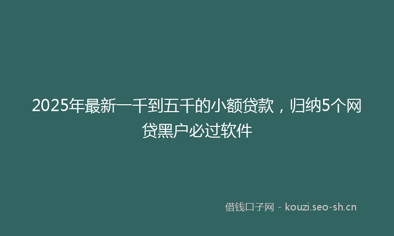 2025年最新一千到五千的小额贷款，归纳5个网贷黑户必过软件