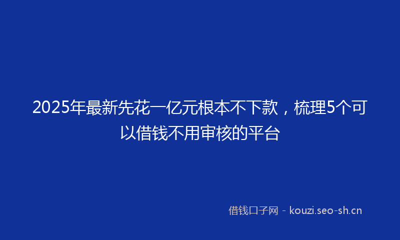 2025年最新先花一亿元根本不下款，梳理5个可以借钱不用审核的平台