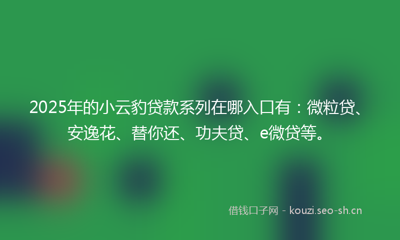2025年的小云豹贷款系列在哪入口有：微粒贷、安逸花、替你还、功夫贷、e微贷等。