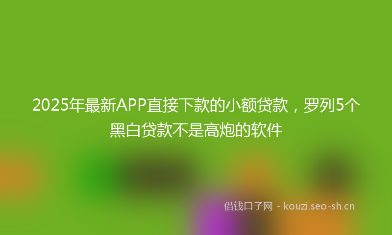 2025年最新APP直接下款的小额贷款，罗列5个黑白贷款不是高炮的软件