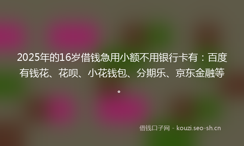 2025年的16岁借钱急用小额不用银行卡有：百度有钱花、花呗、小花钱包、分期乐、京东金融等。