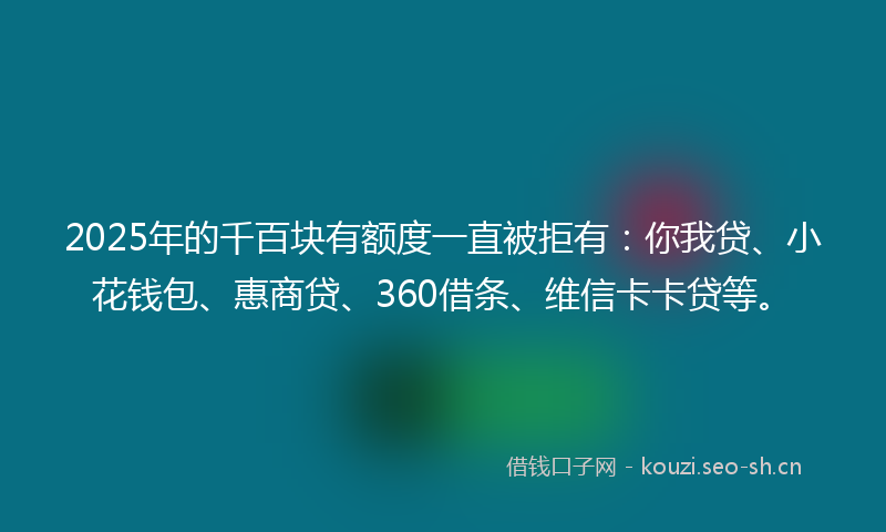 2025年的千百块有额度一直被拒有：你我贷、小花钱包、惠商贷、360借条、维信卡卡贷等。