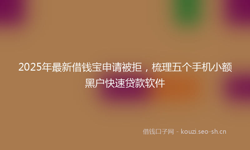 2025年最新借钱宝申请被拒，梳理五个手机小额黑户快速贷款软件