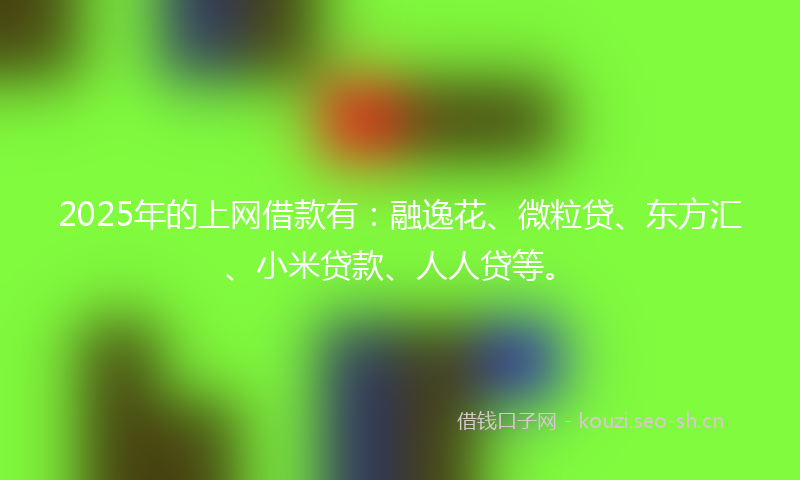 2025年的上网借款有：融逸花、微粒贷、东方汇、小米贷款、人人贷等。