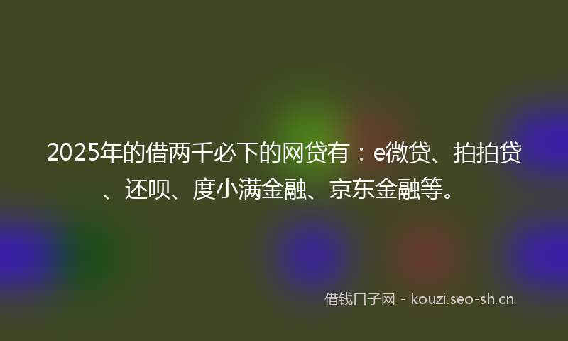 2025年的借两千必下的网贷有：e微贷、拍拍贷、还呗、度小满金融、京东金融等。
