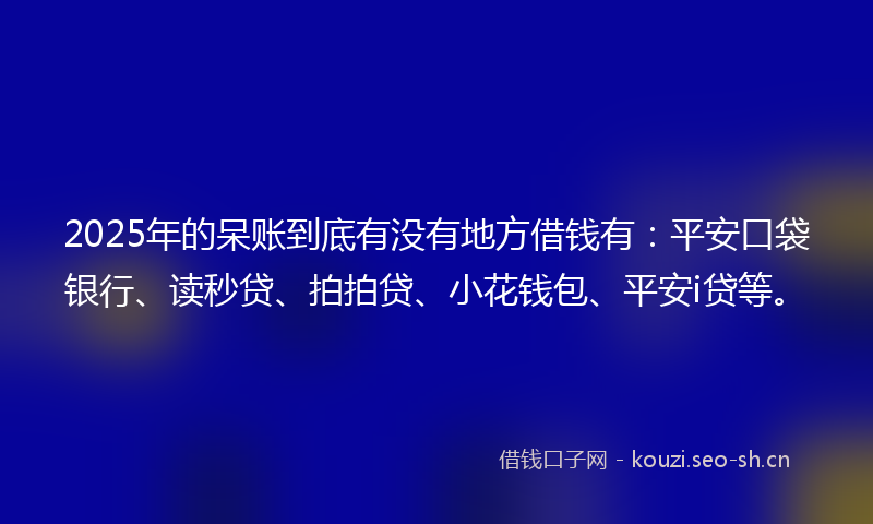 2025年的呆账到底有没有地方借钱有：平安口袋银行、读秒贷、拍拍贷、小花钱包、平安i贷等。