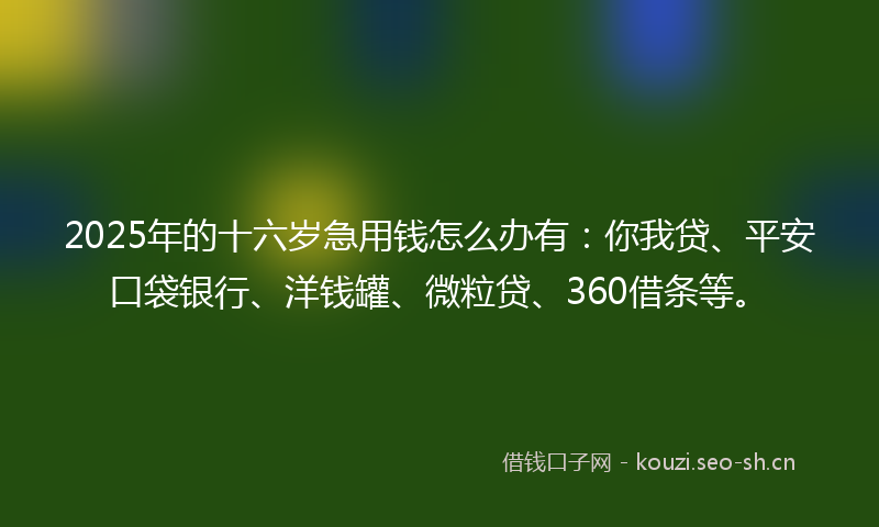 2025年的十六岁急用钱怎么办有：你我贷、平安口袋银行、洋钱罐、微粒贷、360借条等。