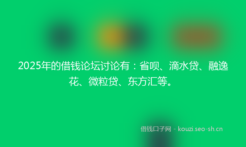 2025年的借钱论坛讨论有：省呗、滴水贷、融逸花、微粒贷、东方汇等。
