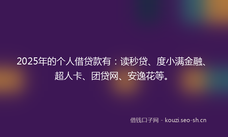 2025年的个人借贷款有：读秒贷、度小满金融、超人卡、团贷网、安逸花等。