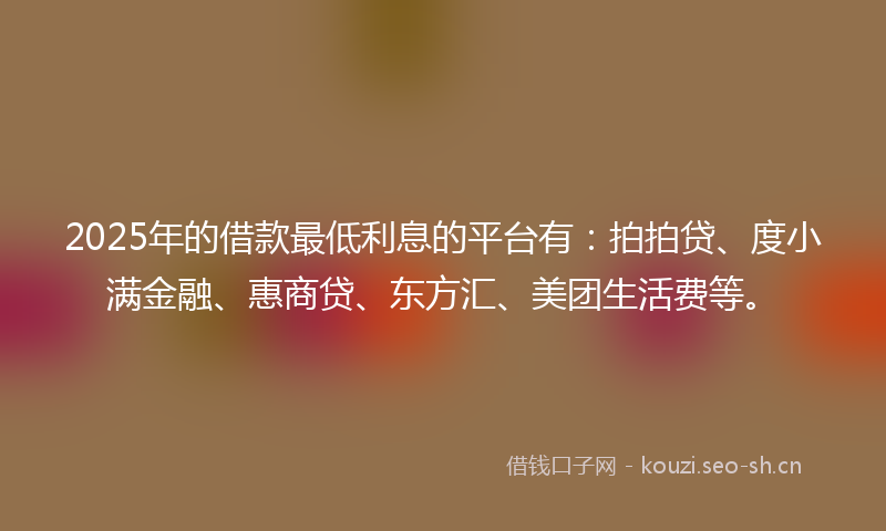 2025年的借款最低利息的平台有：拍拍贷、度小满金融、惠商贷、东方汇、美团生活费等。