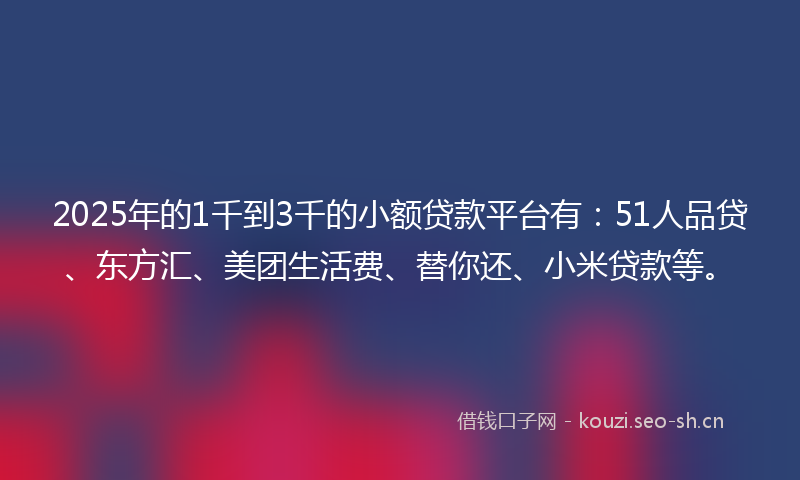 2025年的1千到3千的小额贷款平台有：51人品贷、东方汇、美团生活费、替你还、小米贷款等。