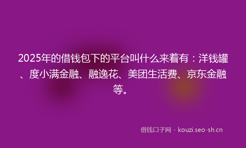 2025年的借钱包下的平台叫什么来着有：洋钱罐、度小满金融、融逸花、美团生活费、京东金融等。