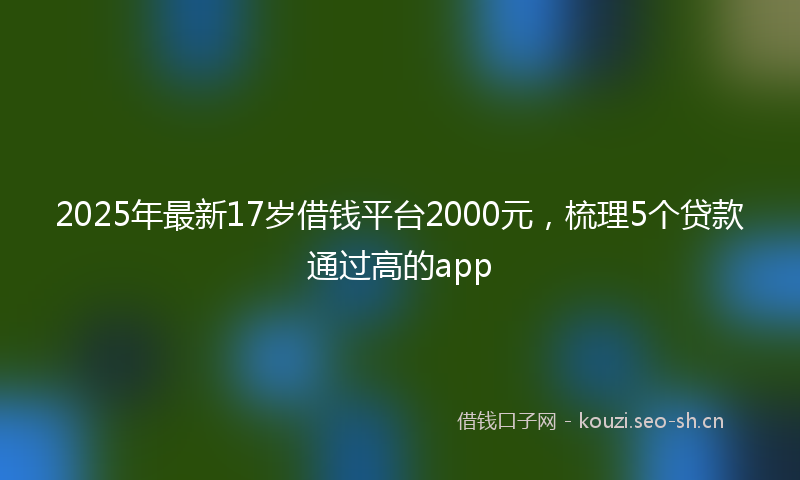 2025年最新17岁借钱平台2000元，梳理5个贷款通过高的app