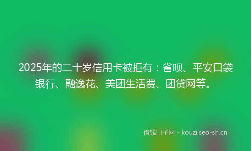 2025年的二十岁信用卡被拒有：省呗、平安口袋银行、融逸花、美团生活费、团贷网等。
