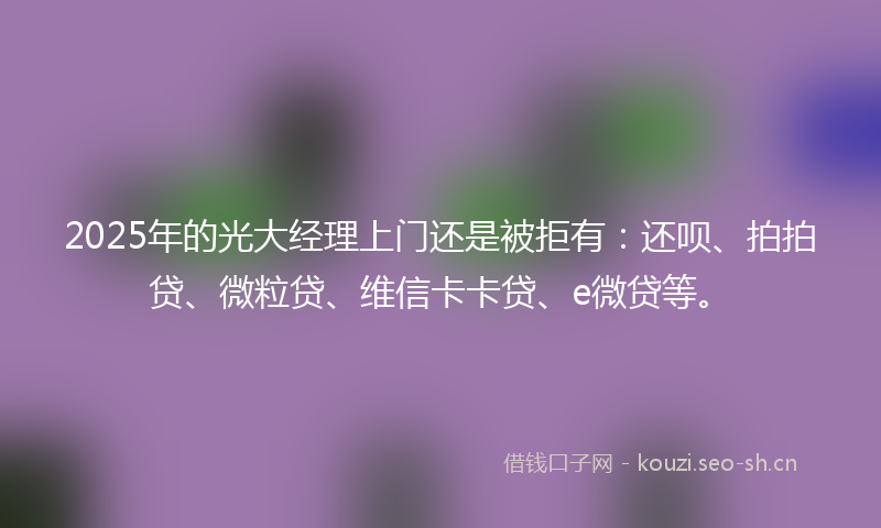2025年的光大经理上门还是被拒有：还呗、拍拍贷、微粒贷、维信卡卡贷、e微贷等。