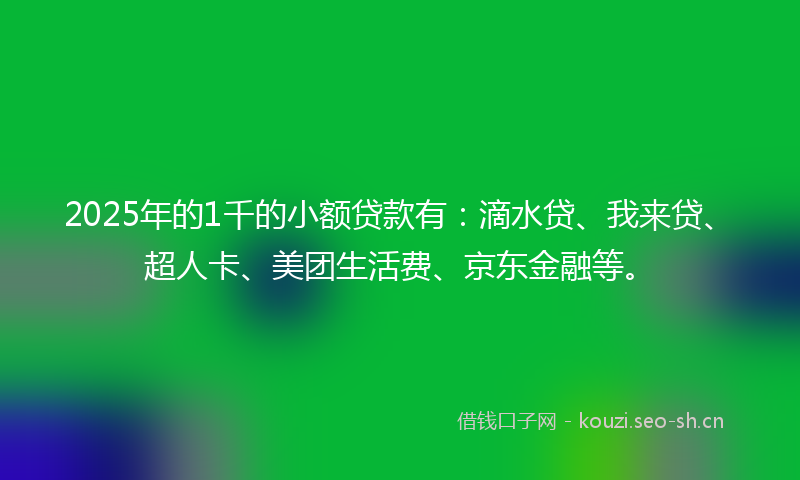 2025年的1千的小额贷款有：滴水贷、我来贷、超人卡、美团生活费、京东金融等。