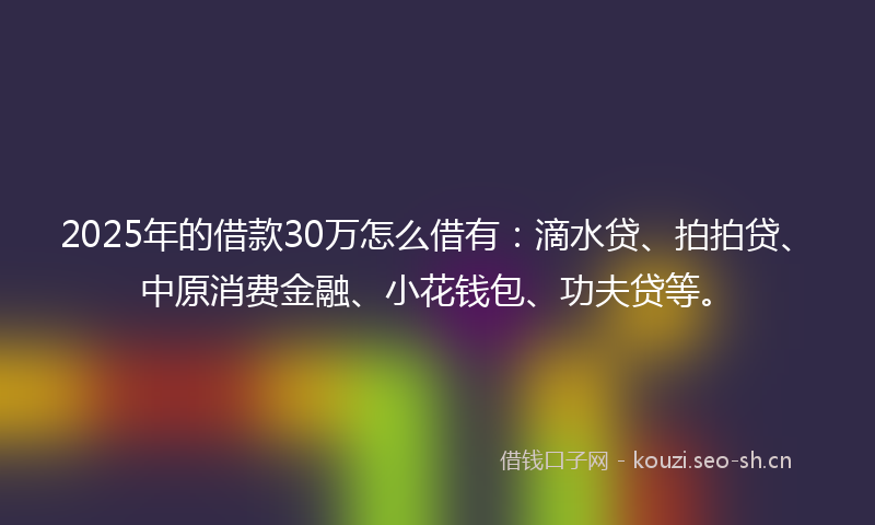 2025年的借款30万怎么借有：滴水贷、拍拍贷、中原消费金融、小花钱包、功夫贷等。