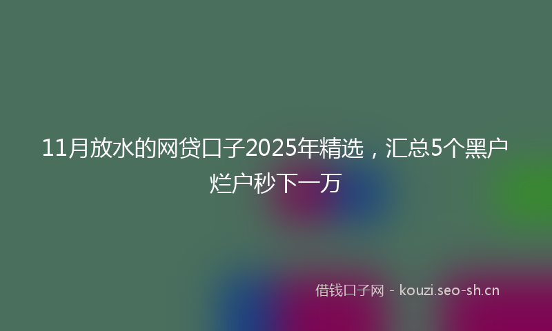 11月放水的网贷口子2025年精选，汇总5个黑户烂户秒下一万