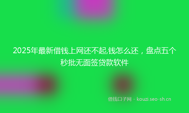 2025年最新借钱上网还不起,钱怎么还，盘点五个秒批无面签贷款软件