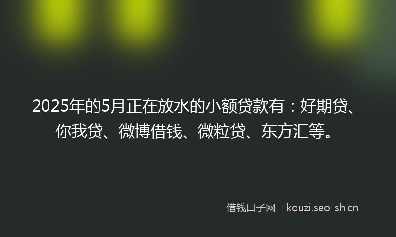 2025年的5月正在放水的小额贷款有：好期贷、你我贷、微博借钱、微粒贷、东方汇等。