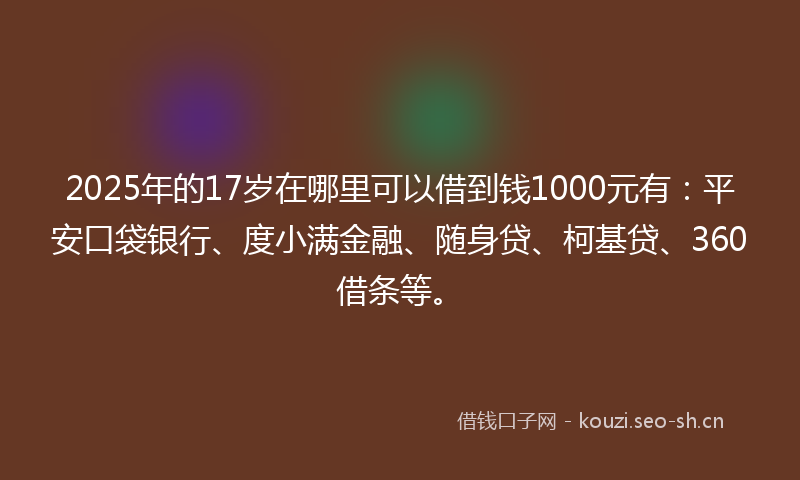 2025年的17岁在哪里可以借到钱1000元有：平安口袋银行、度小满金融、随身贷、柯基贷、360借条等。