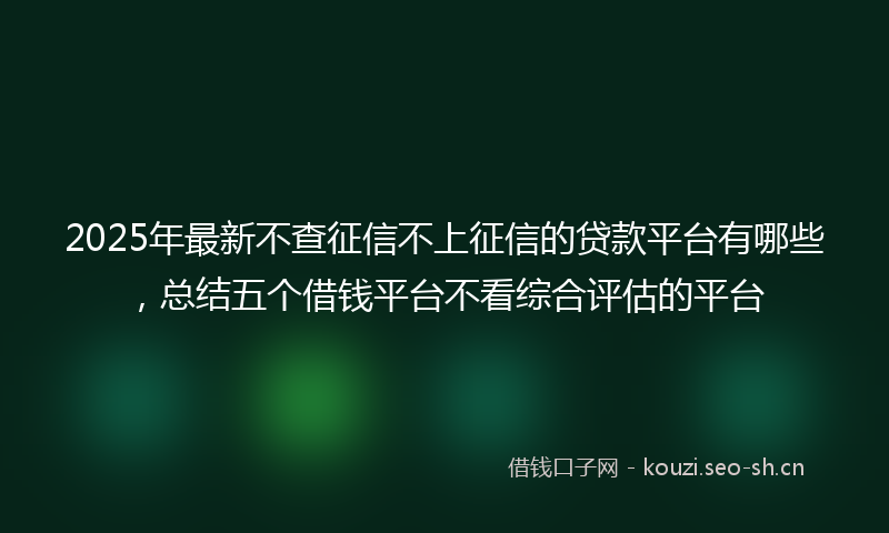 2025年最新不查征信不上征信的贷款平台有哪些，总结五个借钱平台不看综合评估的平台
