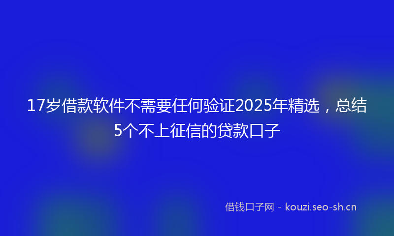17岁借款软件不需要任何验证2025年精选，总结5个不上征信的贷款口子