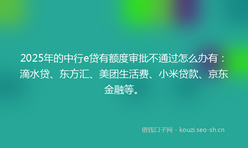 2025年的中行e贷有额度审批不通过怎么办有：滴水贷、东方汇、美团生活费、小米贷款、京东金融等。