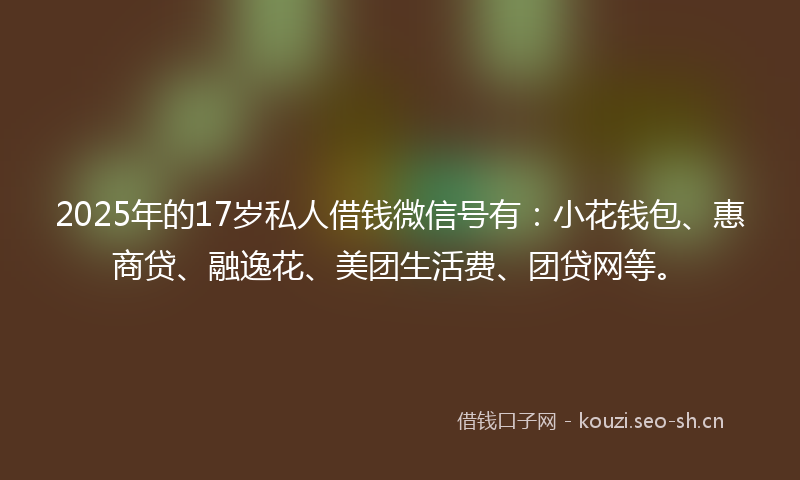 2025年的17岁私人借钱微信号有：小花钱包、惠商贷、融逸花、美团生活费、团贷网等。