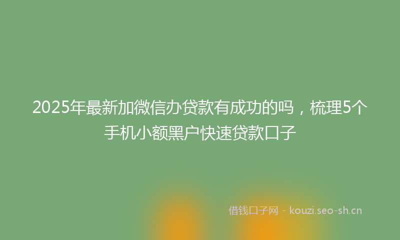 2025年最新加微信办贷款有成功的吗，梳理5个手机小额黑户快速贷款口子